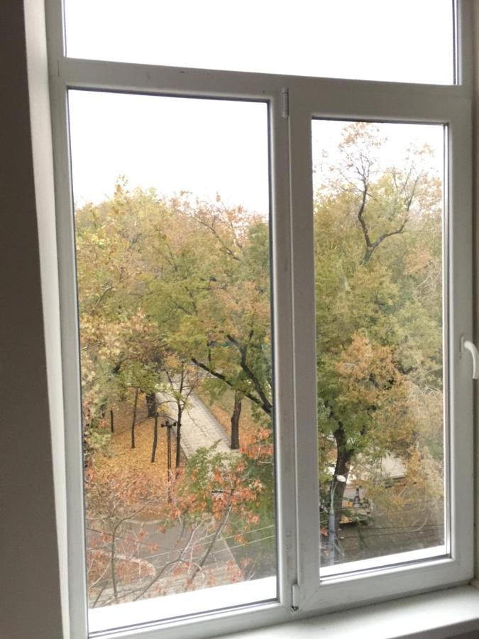 צ'יסינאו Central Park Accommodation מראה חיצוני תמונה